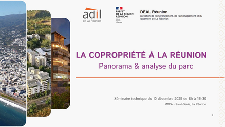 La présentation du panorama des copropriétés réunionnaises par Jeanne Vanderzyppe, Coordinatrice et chargée d'études à l'ADIL